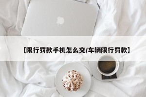 【限行罚款手机怎么交/车辆限行罚款】